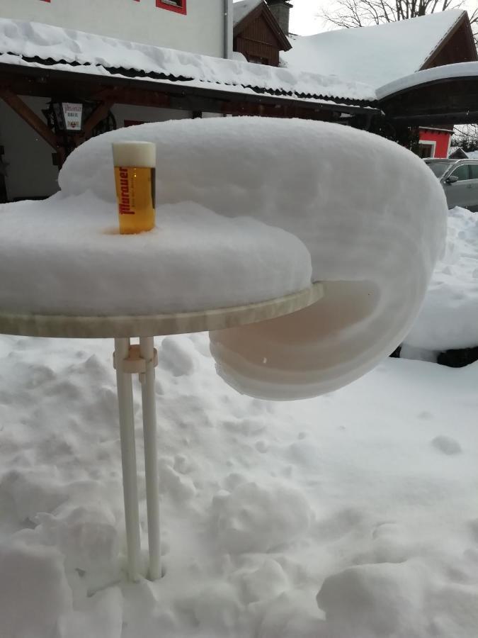 Hotel Aloisia, Hotel Garni Mariapfarr Dış mekan fotoğraf